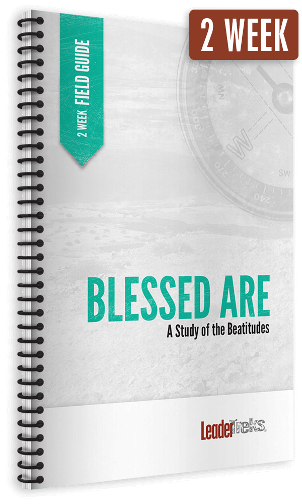 blessed are 2 week mission trip devotional