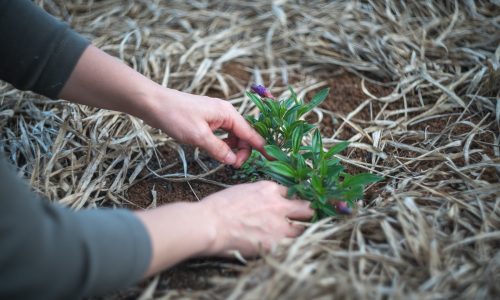 youth worker, youth ministry, growth