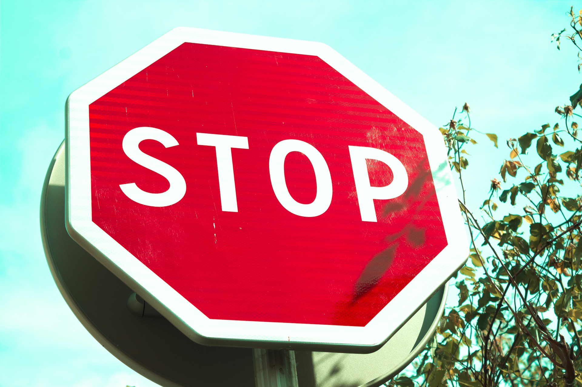 Stop up