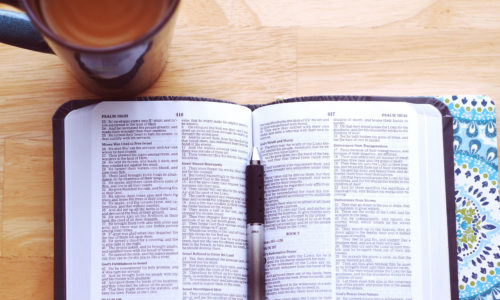 studying bible for students