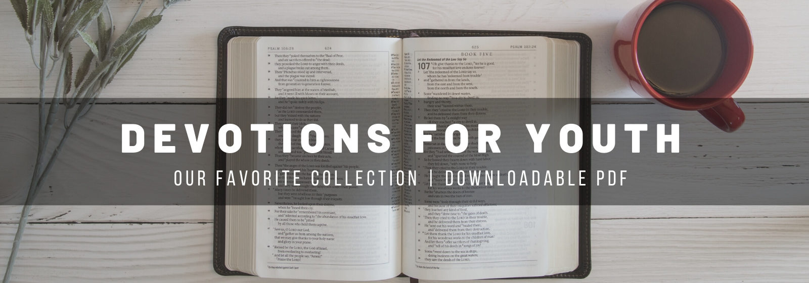 devotions for youth and teens