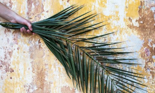 palm sunday youth lesson