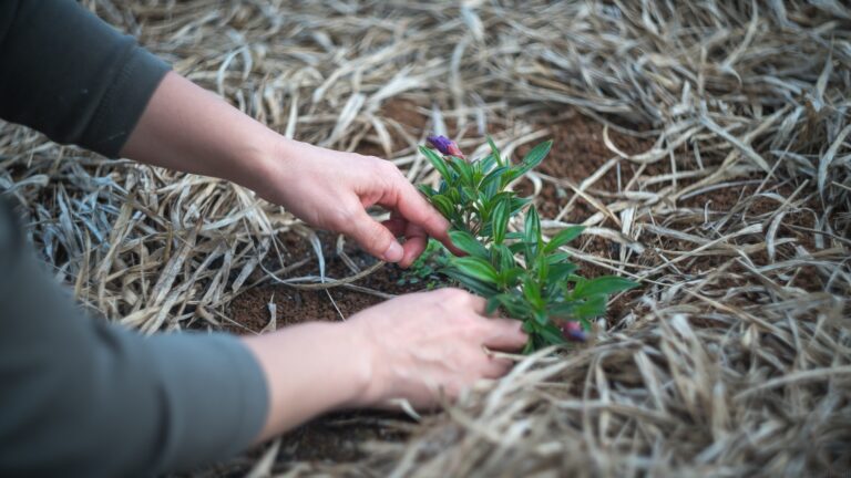 youth worker, youth ministry, growth