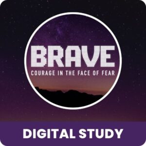 Brave Study