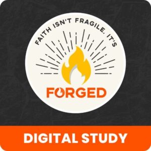 Forged Study